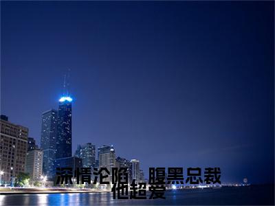 深情沦陷，腹黑总裁他超爱林书晚傅砚辞彩蛋小说结尾+附加（林书晚傅砚辞）清爽版阅读