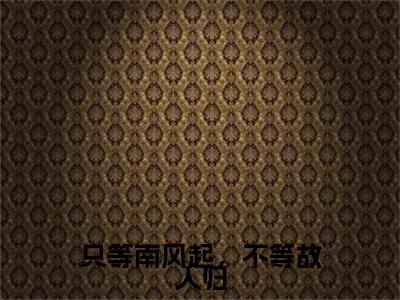 只等南风起，不等故人归叶竹君陆时琛完结篇（叶竹君陆时琛）全篇免费版在线+无障碍结局