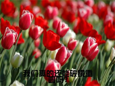 宴晚黎江煜白小说(我们真的还能破镜重圆吗？)全文+后续（宴晚黎江煜白）畅享阅读