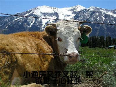 小通房又乖又软，禁欲世子心狂跳幼梨后续(小通房又乖又软，禁欲世子心狂跳)（幼梨）完整章节列表_笔趣阁