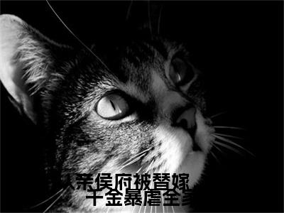 张盈盈小说(张盈盈)（认亲侯府被替嫁，真千金暴虐全家）在线畅读+开篇大作+前传
