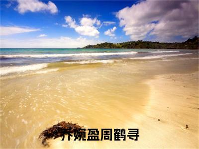 乔婉盈周鹤寻(乔婉盈周鹤寻)章节目录+起点章节（乔婉盈周鹤寻）全篇清爽版在线