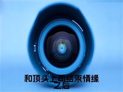 （和顶头上司结束情缘之后）和顶头上司结束情缘之后小说(许清和陆时衍)无套路无弹窗全部章节列表