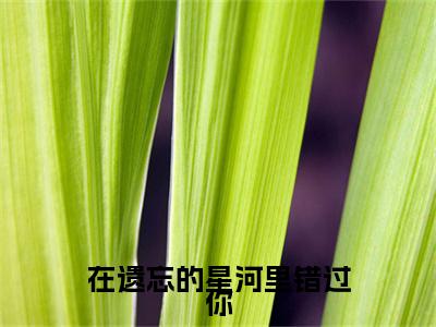 沈星意段言卿 小说小说全集+延伸+完本（在遗忘的星河里错过你）畅享在线阅读