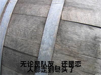 无论是队友，还是恋人都走到尽头了后续（许时延李诗允）全文在线下载在线+纯净版结局