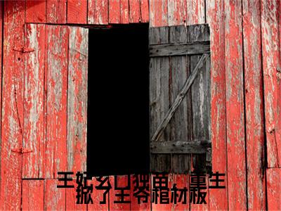 王妃玄门独苗，重生掀了王爷棺材板小说(宋梧姜行)序章+全章阅读（王妃玄门独苗，重生掀了王爷棺材板）最新章节