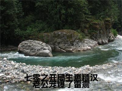热文推荐七零之开局生崽糙汉老公宠爆了雷震司月月雷震小说大结局（司月月雷震）书荒必看列表