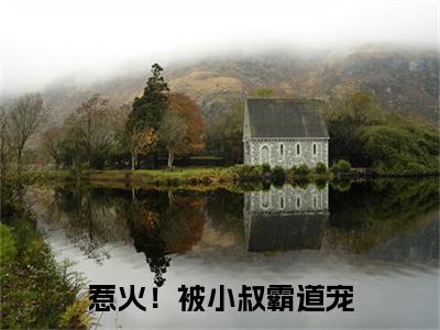 （宋满宋隽言）宋满宋隽言小说(惹火！被小叔霸道宠)无套路无弹窗全部章节列表