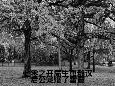 司月月雷震：+后续现已上架+章节前文（七零之开局生崽糙汉老公宠爆了雷震）全章无套路在线
