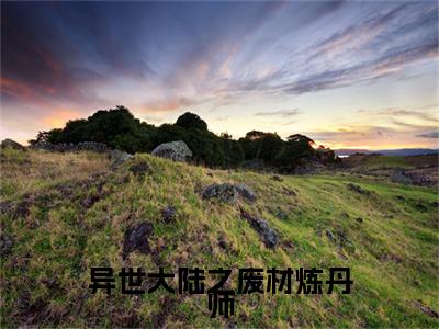 萧若曦凌宇寒附加完整在线阅读（异世大陆之废材炼丹师）最近更新列表