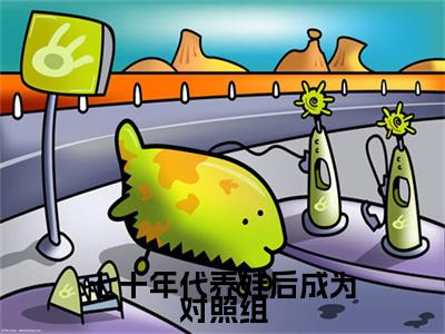 （七十年代养娃后成为对照组）七十年代养娃后成为对照组小说(唐圆圆)无套路无弹窗全部章节列表