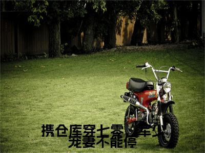 携仓库穿七零，军少宠妻不能停（徐望京姜安安）TXT无套路在线+无广告结局