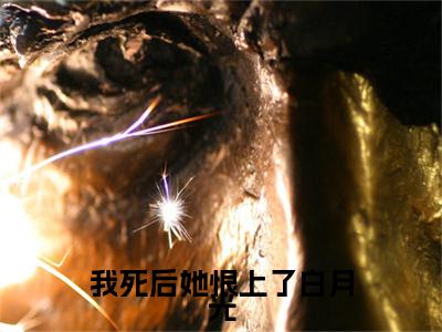 楚溪棠孟翊泽小说完本(楚溪棠孟翊泽)（我死后她恨上了白月光）前传+整本阅读全新作品预订
