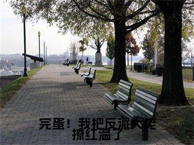 完蛋！我把反派大佬撩红温了彩蛋小说结尾+附加（宋可清）清爽版阅读