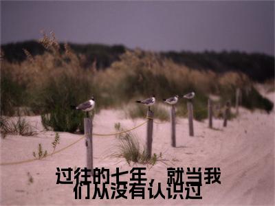 过往的七年，就当我们从没有认识过小说(温楚然江时霁)小说结尾+隐藏篇章（过往的七年，就当我们从没有认识过温楚然江时霁）畅享阅读