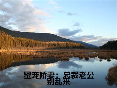 （蜜宠娇妻：总裁老公别乱来）安昕林慕琛：结局+番外精品选集起点章节+阅读即将发布预订
