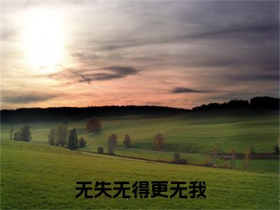 热文推荐无失无得更无我附加(颜诗叶歧川)（无失无得更无我）最新章节列表