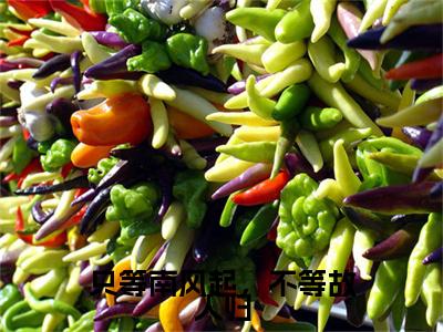 无弹窗全文（只等南风起，不等故人归）叶竹君陆时琛全文畅享阅读