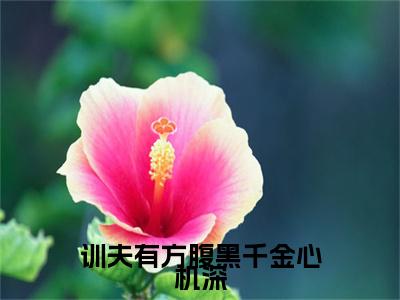训夫有方腹黑千金心机深小说(训夫有方腹黑千金心机深)（卫卿卿陆城歌）完整章节列表_笔趣阁