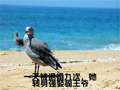 凤瑶萧锦言小说(凤瑶萧锦言)终章+番外（一天被退婚九次，她转身强娶疯王爷）一口气阅读