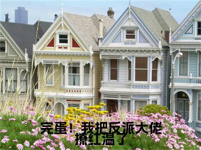 完蛋！我把反派大佬撩红温了后续（宋可清）全文在线下载在线+纯净版结局