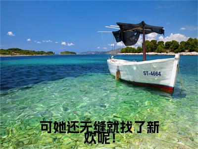 霍序州岑知瑜小说(可她还无缝就找了新欢呢！)+前传（霍序州岑知瑜）阅读