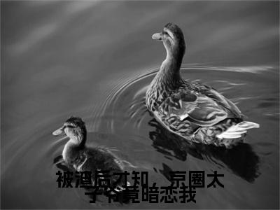 被渣后才知，京圈太子爷竟暗恋我小说（宋沉渊舒沫）+后续+结局在线阅读