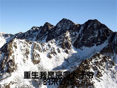 重生我是京圈太子爷的朱砂痣(谢喻安安辞念)：结局+番外评价五颗星