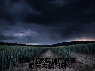 孟浅顾逸凡小说(觉醒八零踹掉厂长未婚夫大搞科研)小说全集在线下载_章节前文+后续（孟浅顾逸凡）