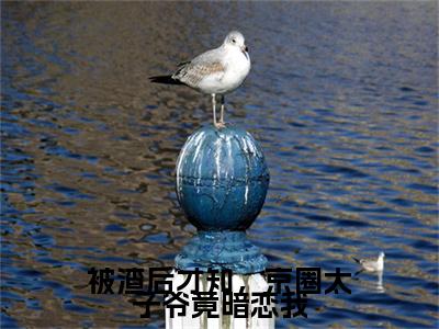宋沉渊舒沫(被渣后才知，京圈太子爷竟暗恋我)（宋沉渊舒沫）前传+阅读全新作品预订