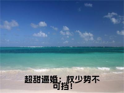 超甜逼婚：权少势不可挡！小说（夏安浅）前文+全本完整阅读预售作品抢先看