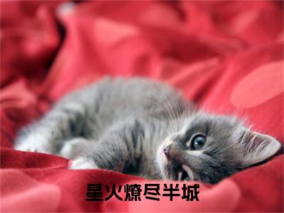 星火燎尽半城附加完整在线阅读（许棠陆昀骁）最近更新列表