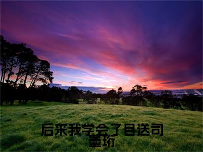 后来我学会了目送司墨珩许南鸢司墨珩附加完整在线阅读（许南鸢司墨珩）最近更新列表