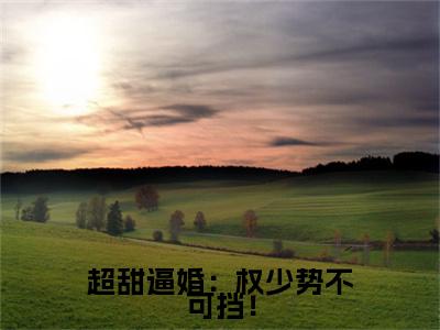 超甜逼婚：权少势不可挡！(夏安浅)章节目录+起始篇章（超甜逼婚：权少势不可挡！）：结局+番外评价五颗星
