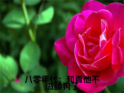 八零年代：知青他不做舔狗了：结局+番外新上热文（顾岩烽宋诗瑶）:全文+番外+纯净版结局