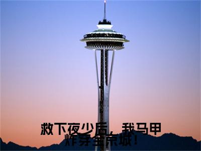 慕夏夜司爵(救下夜少后，我马甲炸穿全京城！)：结局+番外评价五颗星