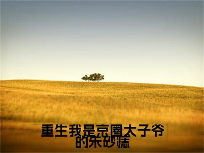 重生我是京圈太子爷的朱砂痣小说(谢喻安安辞念)序章+全章阅读（重生我是京圈太子爷的朱砂痣）最新章节