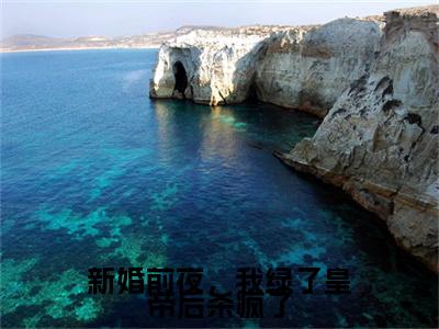 新婚前夜，我绿了皇帝后杀疯了全文免费阅读无弹窗大结局_叶零榆裴陵游最新章节列表_笔趣阁（新婚前夜，我绿了皇帝后杀疯了：完结+结局+番外）