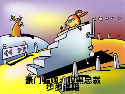 前传豪门骗嫁：腹黑总裁步步谋婚续集(豪门骗嫁：腹黑总裁步步谋婚)终章阅读极简（豪门骗嫁：腹黑总裁步步谋婚）