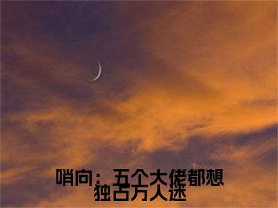 阮清越今昭小说(哨向：五个大佬都想独占万人迷)小说全集阅读连载中（阮清越今昭）_笔趣阁