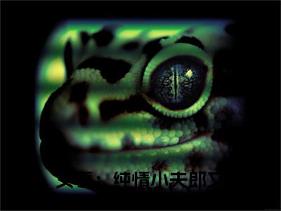 完结篇小说女尊：纯情小夫郎又吃醋啦！小说(林夏李安)已更新+无删减（女尊：纯情小夫郎又吃醋啦！）无广告