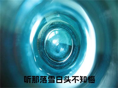听那落雪白头不知悔番外（姜晚司以寒）TXT+后续+结局在线阅读