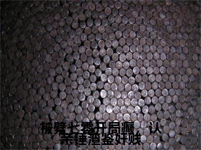 新章速递苏浅梨小说小说结尾阅读无广告（被劈七零开局癫，认亲锤渣鉴奸贱）