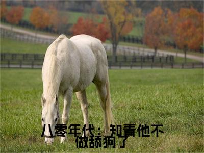 八零年代：知青他不做舔狗了小说(顾岩烽宋诗瑶)（八零年代：知青他不做舔狗了）全书+后续+结局在线阅读