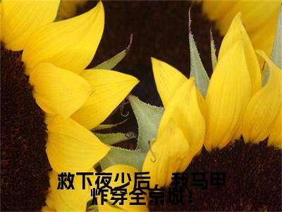 救下夜少后，我马甲炸穿全京城！小说（慕夏夜司爵）前文+全本完整阅读预售作品抢先看