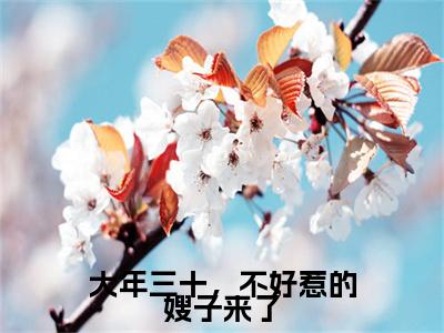 （宋淼）大年三十，不好惹的嫂子来了小说最终篇章章节在线无广告高口碑小说
