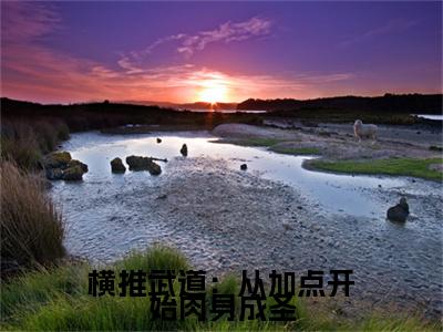热文推荐陈轩小说（横推武道：从加点开始肉身成圣）前传列表