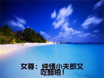 女尊：纯情小夫郎又吃醋啦！小说（林夏李安）后续+番外精编之作无删减_（林夏李安）女尊：纯情小夫郎又吃醋啦！小说结局+番外看点十足_笔趣阁