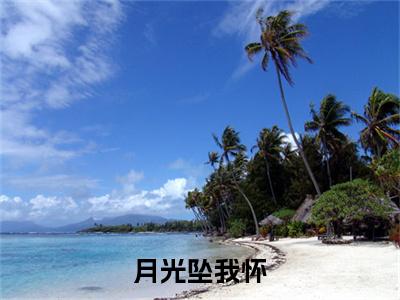 阮鲤江渝辞(月光坠我怀)最近更新（阮鲤江渝辞）整本无套路阅读