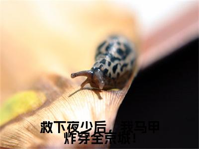 慕夏夜司爵小说番外+结局（救下夜少后，我马甲炸穿全京城！）小说在线阅读